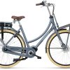 Batavus PACKDE Go Plus 2021 Damen Matt Blau