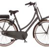 Cortina E-U4 Transport RAW M N8 2019 Dames Grijs Mat Cortina Elektrische Fiets Zijkant