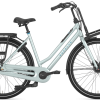 Gazelle Heavy Duty T72021 Dames Licht blauw Mat transportfiets