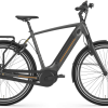 Gazelle Ultimate C8 Plus HMB Connect 2021 Heren Grijs Mat Gazelle Elektrische Fietsen